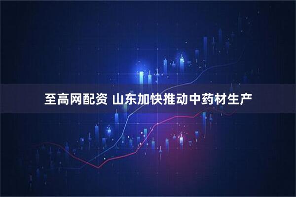 至高网配资 山东加快推动中药材生产