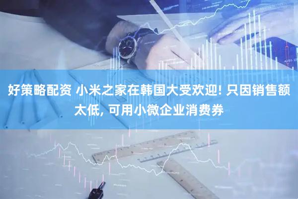 好策略配资 小米之家在韩国大受欢迎! 只因销售额太低, 可用小微企业消费券